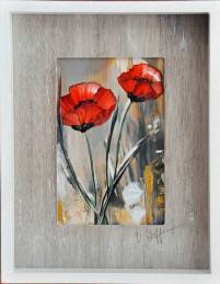 Klatschmohn kl1-